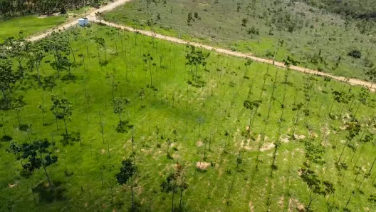 Lote/Terreno à venda, 20000m² no Zona Rural, Paraopeba