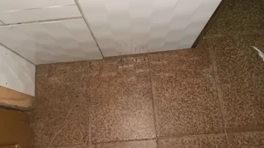Fazenda/Sítio com 2 Quartos à venda, 90m² no , Caraá