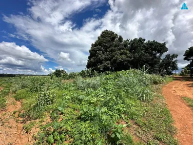 Fazenda/Sítio com 3 Quartos à venda, 33403m² no Área Rural de Brazlândia, Brasília