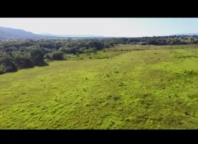 Fazenda/Sítio à venda no , Buritis