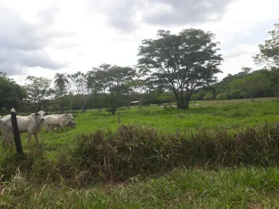 Lote/Terreno à venda, 20000m² no , Araçaí