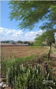 Lote/Terreno para venda ou aluguel, 10000m² no Br-376, Marialva