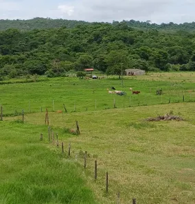 Fazenda/Sítio à venda, 28m² no Brazlândia, Brasília