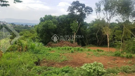 Lote/Terreno à venda, 600m² no Travessão, Dois Irmãos
