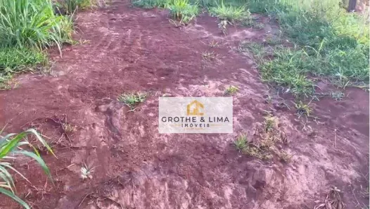 Fazenda/Sítio com 5 Quartos à venda, 800m² no Padre Bernardo, Padre Bernardo