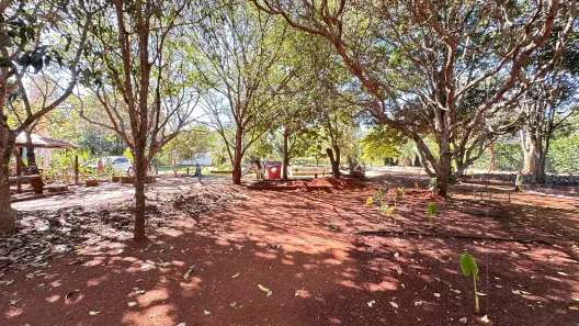 Fazenda/Sítio com 3 Quartos à venda, 210m² no Setor Central, Nova Veneza