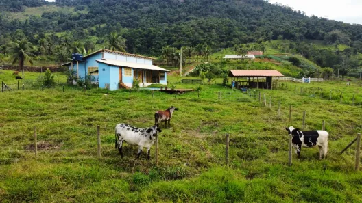 Fazenda/Sítio com 3 Quartos à venda, 8300m² no Comunidade Urbana de Jaboti, Guarapari