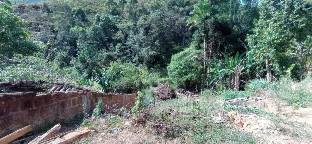Casa com 2 Quartos à venda, 88m² no Centro, Passa Vinte