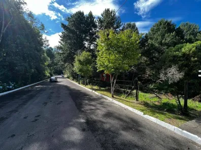 Lote/Terreno à venda, 542m² no Ipê Amarelo, Gramado