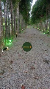 Fazenda/Sítio com 4 Quartos à venda, 256520m² no Área Rural de Inhumas, Inhumas