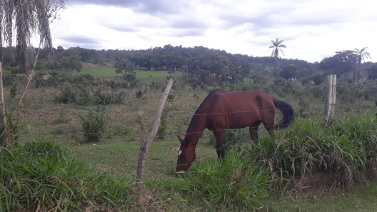 Lote/Terreno à venda, 20000m² no , Paraopeba