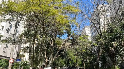 Apartamento com 2 Quartos para alugar, 110m² no Laranjeiras, Rio de Janeiro