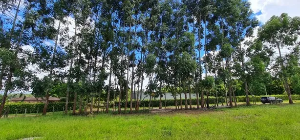 Fazenda/Sítio com 1 Quarto à venda, 20000m² no Brazlândia, Brasília