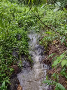 Lote/Terreno à venda, 20000m² no , Fortuna de Minas
