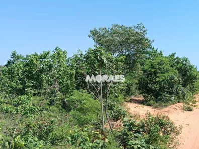 Fazenda/Sítio à venda, 18923500m² no , Recursolândia