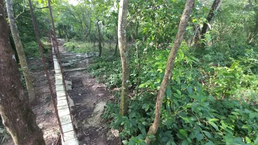 Lote/Terreno à venda, 1000m² no Dom Pedro I, Manaus