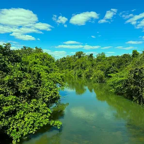 Fazenda/Sítio com 4 Quartos à venda, 145200m² no , Goiás