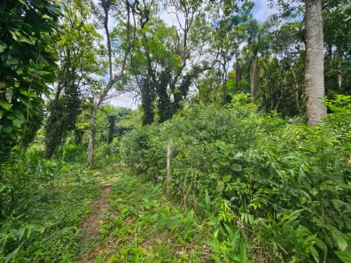 Lote/Terreno à venda, 2400m² no Antonina, Antonina
