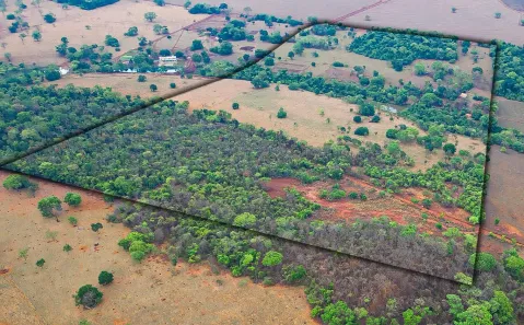 Fazenda/Sítio com 2 Quartos à venda, 436m² no Área Rural, Goianira
