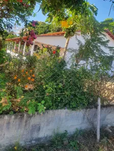 Fazenda/Sítio com 3 Quartos à venda, 9m² no , Goiás