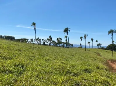 Fazenda/Sítio com 4 Quartos à venda, 2420000m² no Vila Santa Terezinha, Inhumas