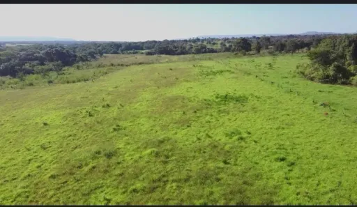 Fazenda/Sítio com 3 Quartos à venda, 162500m² no , Buritis