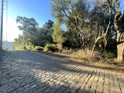 Lote/Terreno à venda, 3846m² no Cruzeiro, Caxias do Sul