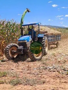 Fazenda/Sítio à venda, 480000m² no , Buritis
