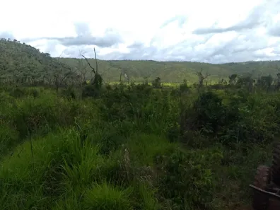 Fazenda/Sítio com 1 Quarto à venda, 484000000m² no , Babaçulândia