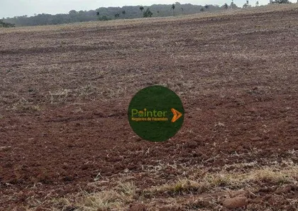 Fazenda/Sítio à venda, 5040000m² no , Buritis