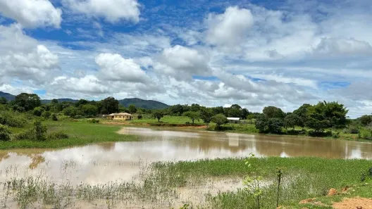 Fazenda/Sítio com 5 Quartos à venda, 37m² no , Goiás