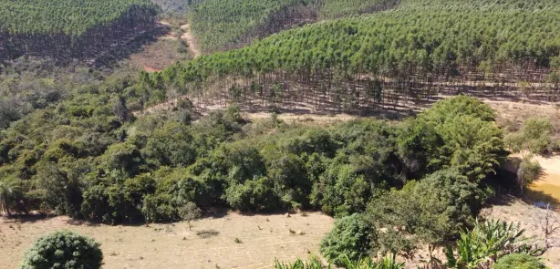 Lote/Terreno à venda, 20000m² no , Cordisburgo