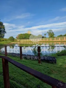 Fazenda/Sítio com 3 Quartos à venda, 172m² no , Guapó