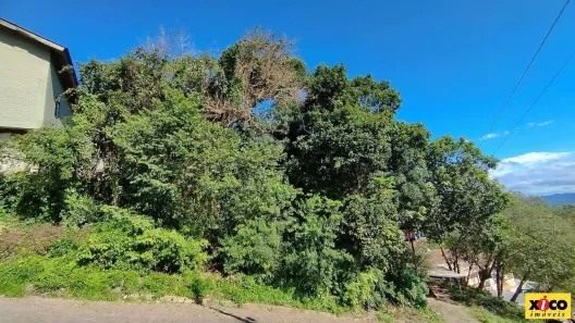 Lote/Terreno à venda, 774m² no Nova Petrópolis, Nova Petrópolis