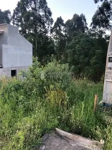 Lote/Terreno à venda, 312m² no , Dois Irmãos