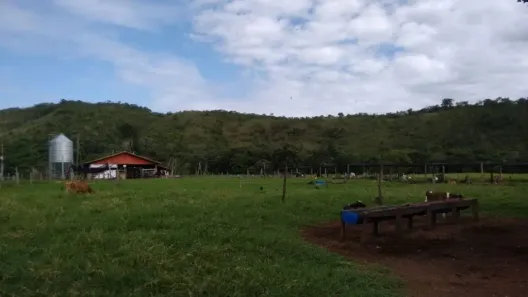 Fazenda/Sítio com 4 Quartos à venda, 1137400m² no , 