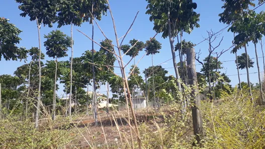Lote/Terreno à venda, 20000m² no , Paraopeba