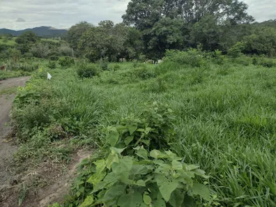 Lote/Terreno à venda, 20000m² no , Fortuna de Minas