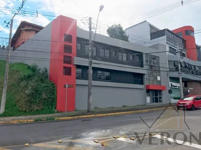 Sala Comercial com 3 Quartos à venda, 720m² no Sagrada Família, Caxias do Sul