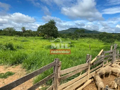 Fazenda/Sítio à venda, 249m² no , Buritis