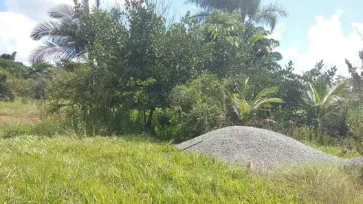 Fazenda/Sítio à venda, 2000m² no Setor Central, Terezópolis de Goiás