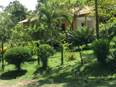 Fazenda/Sítio à venda, 14700m² no Centro, Tanguá