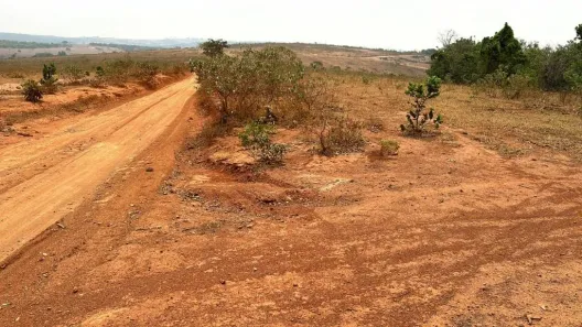 Fazenda/Sítio à venda, 22760000m² no Centro, Formiga