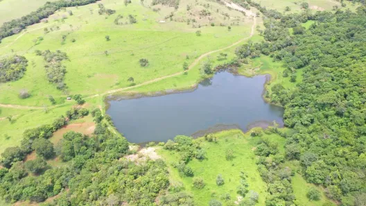 Fazenda/Sítio com 4 Quartos à venda, 6000000m² no , Padre Bernardo