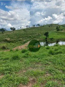 Fazenda/Sítio à venda, 12874400m² no Zona Rural, Niquelândia