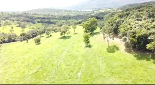 Fazenda/Sítio à venda no Vila São José, Inhumas
