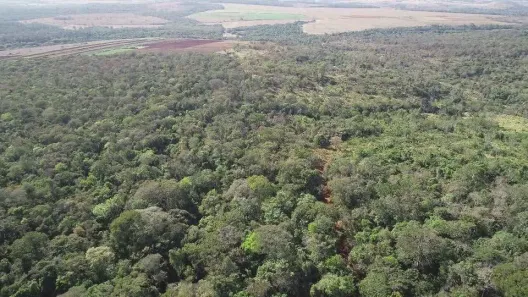 Fazenda/Sítio à venda, 43562m² no , Terezópolis de Goiás