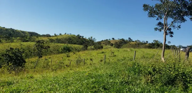 Fazenda/Sítio com 4 Quartos à venda, 550000m² no Padre Bernardo, Padre Bernardo