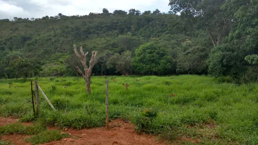 Lote/Terreno à venda, 1000m² no Campinho, Lagoa Santa