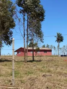 Fazenda/Sítio com 3 Quartos à venda, 80m² no Área Rural de Echaporã, Echaporã